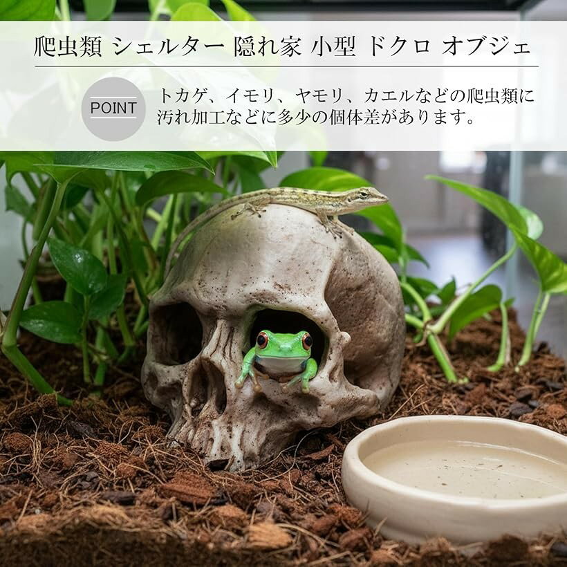 ����� �����륿�� ����� �� �쥪�� �ƥ�ꥦ�� �ɥ��� �ꥢ�� ���� ���֥��� �ȥ��� ������ ����ù� ����