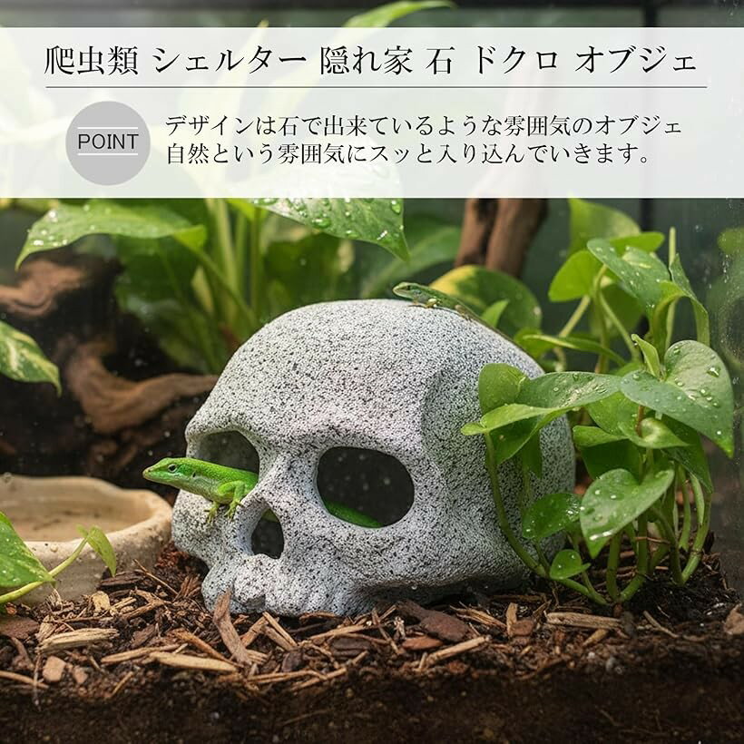 ����� ����� �����륿�� �� �쥪�� �ƥ�ꥦ�� �ɥ��� ���� ���֥��� �ȥ��� ������ ����