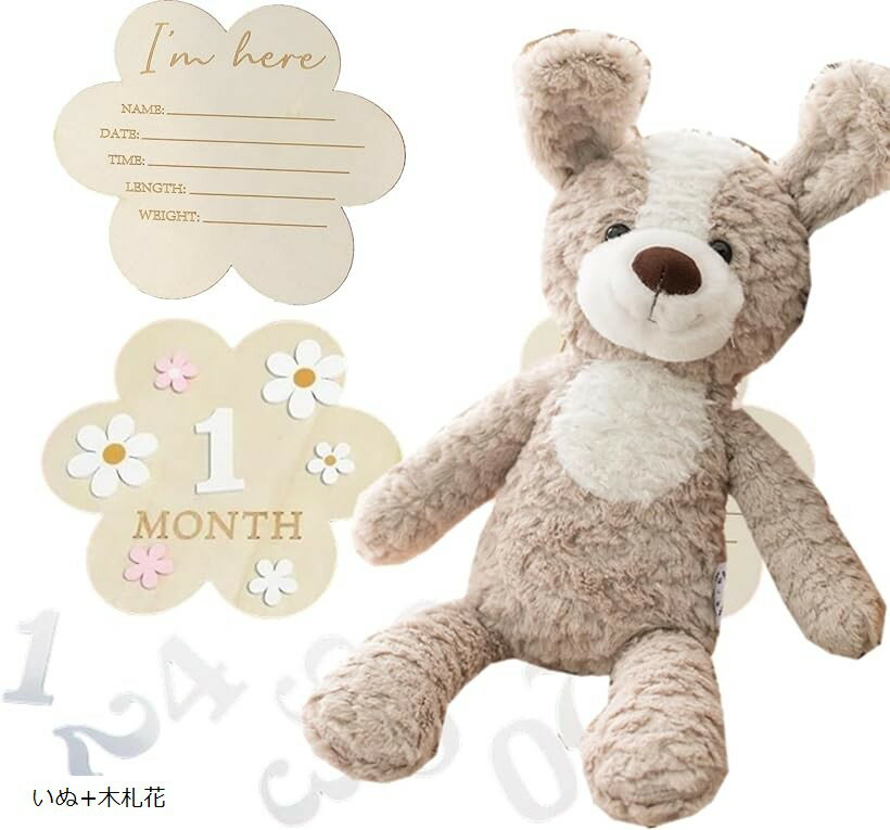 ���ƥ��å��� �ե������ȥȥ� ���� �ϡ��եС����ǡ� 100���ˤ� �ޥ��٥ӡ��ꥹ�� �̤������ £��ʪ ���ե� �л��ˤ� ����+�ڻ��� ������+�ڻ� �ѥ��+...