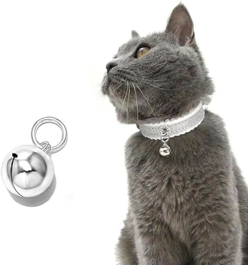 �ڥå��� �� 2�ĥ��å� ľ��16mm ��ǭ�� ���إ��������꡼ ��å�2�ĥ��å�