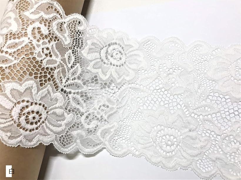 レース フリル 布 手芸 2メートル ハンドメイド リメイク 材料 端切れ レース生地 リボン 白