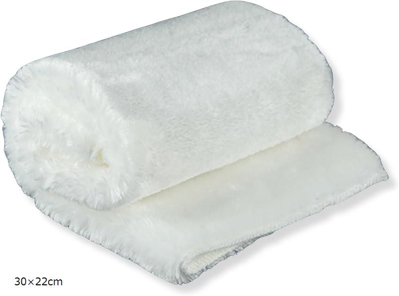 こもれび屋水槽用 フィルターマット 魔毯 濾過めん 2枚 40x50cm 30x22cm