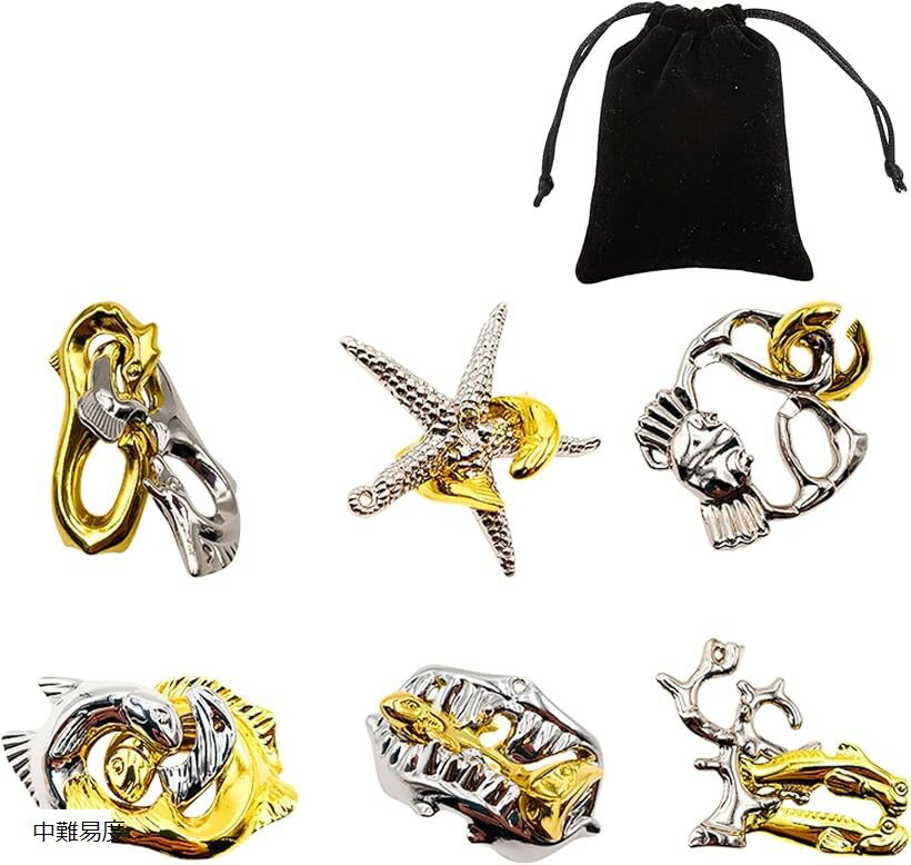 知恵の輪 立体パズル 大人 入院 リハビリ 暇つぶし 収納袋付き 6個セット 中難易度