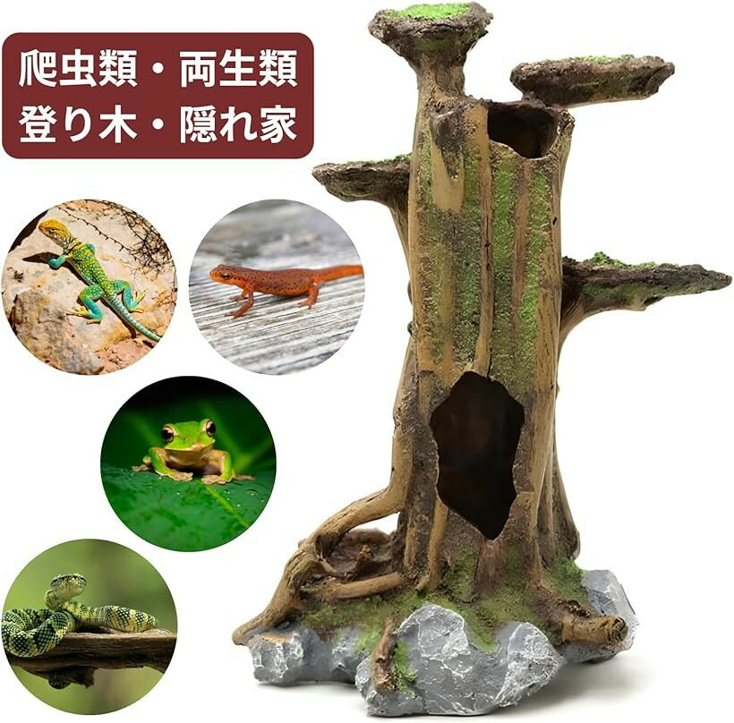 ή�� ����� �Ф��� ����� �����륿�� �ȥ��� ����� �� �֥饦�� L������
