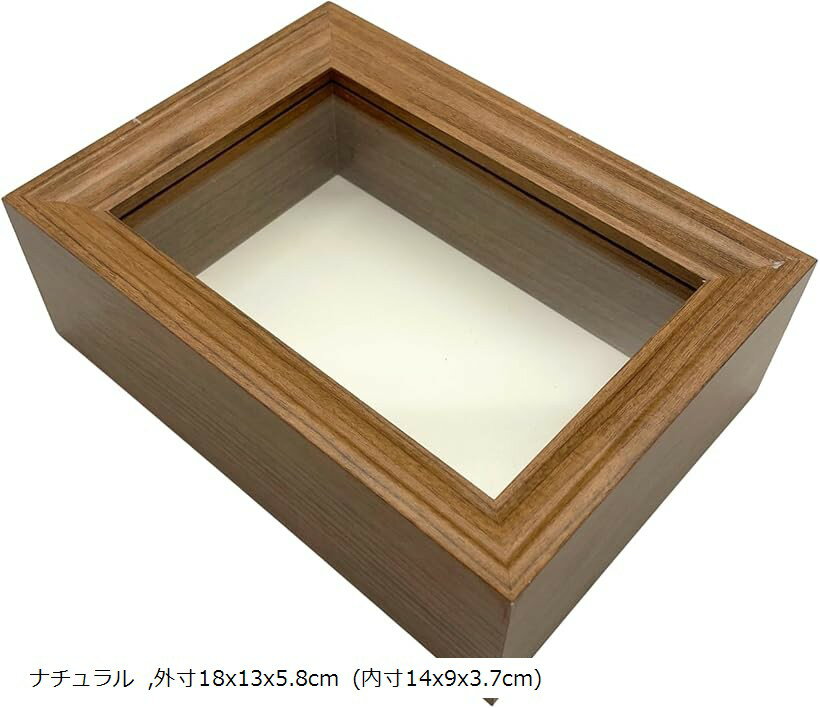 楽天市場】昆虫 標本箱（コレクション｜ホビー）の通販