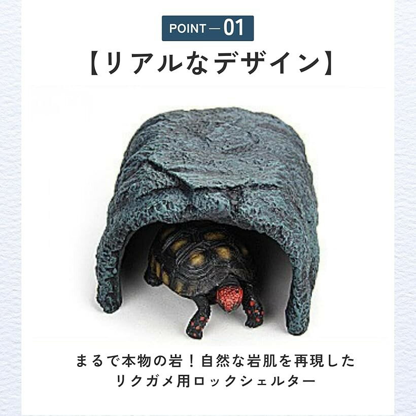 �� �����륿�� �ꥯ���� ���� ����� ����� �������ꥦ�� ��