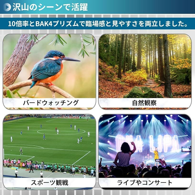 �䤷������󥵡��Ȥ˻��äƤ����ʤ饳����� SNS������ �д�� ���ڥ饰�饹 ����ѥ��� 10�� �ե꡼�ե������� �����ȥե������� �֥�å�