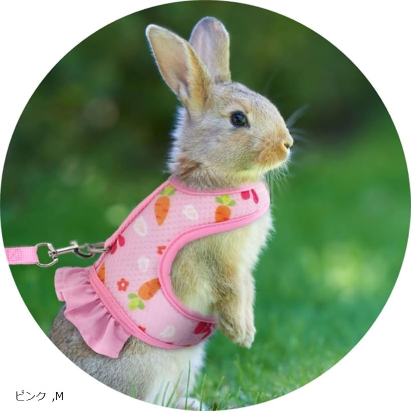 うさぎ ハーネス リード うさぎ用品 ウサギ 服 兎 オレンジ S L ピンク M