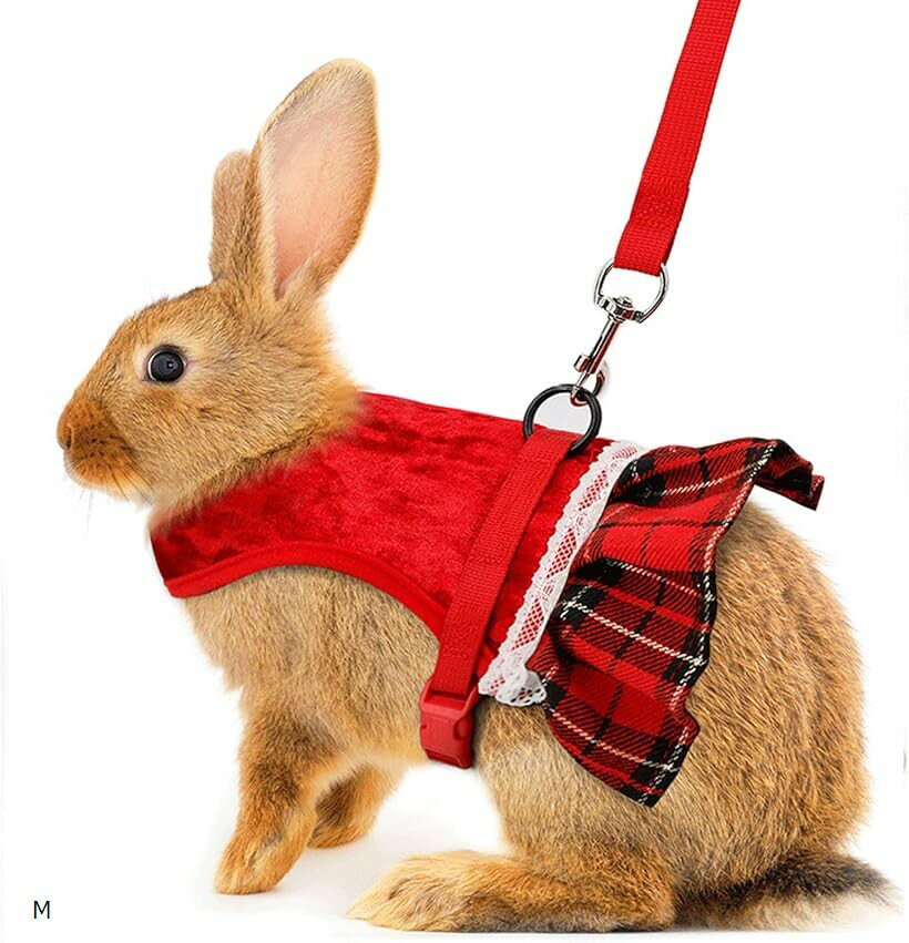 ウサギ ハーネス リード セット 散歩 服 抜けない ネザーランド 子猫 子犬 胸当て フェレット 小動物 ロップイヤー モルモット M