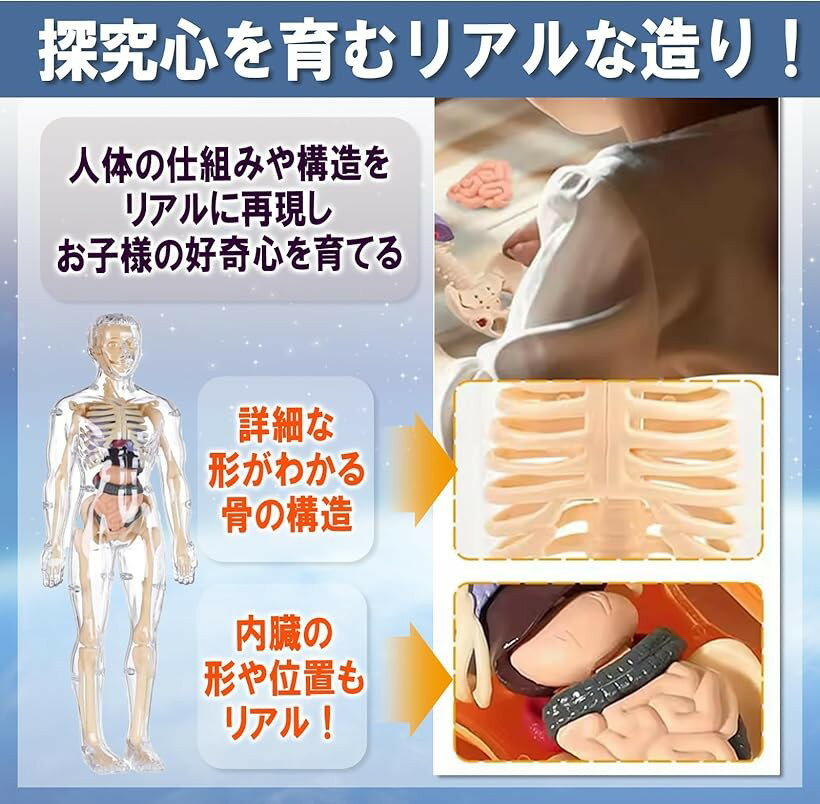 MONOSTORE 人体模型 パズル 3D 解...の紹介画像3