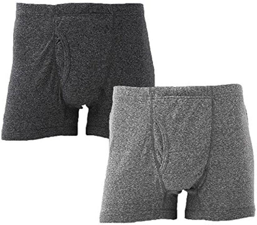 パンツ メンズ 下着 ブリーフ 肌着 2枚 セット シミ対策 抗菌 消臭 前開き ボタンなし 無地 M (グレー、ダークグレー, M)