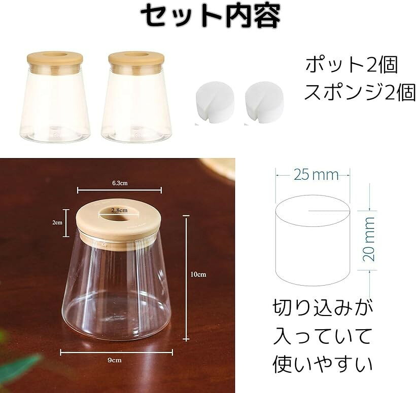 ハイドロカルチャー 水耕栽培 観葉植物 育成キット 透明 プラスチック ポット フラ...