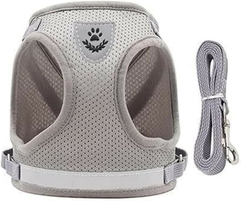 Other - 犬 ハーネス メッシュ 犬用ハーネス ペットハーネス 軽量 散歩 お出かけ リード付き 無地 シンプル (グレー, M)