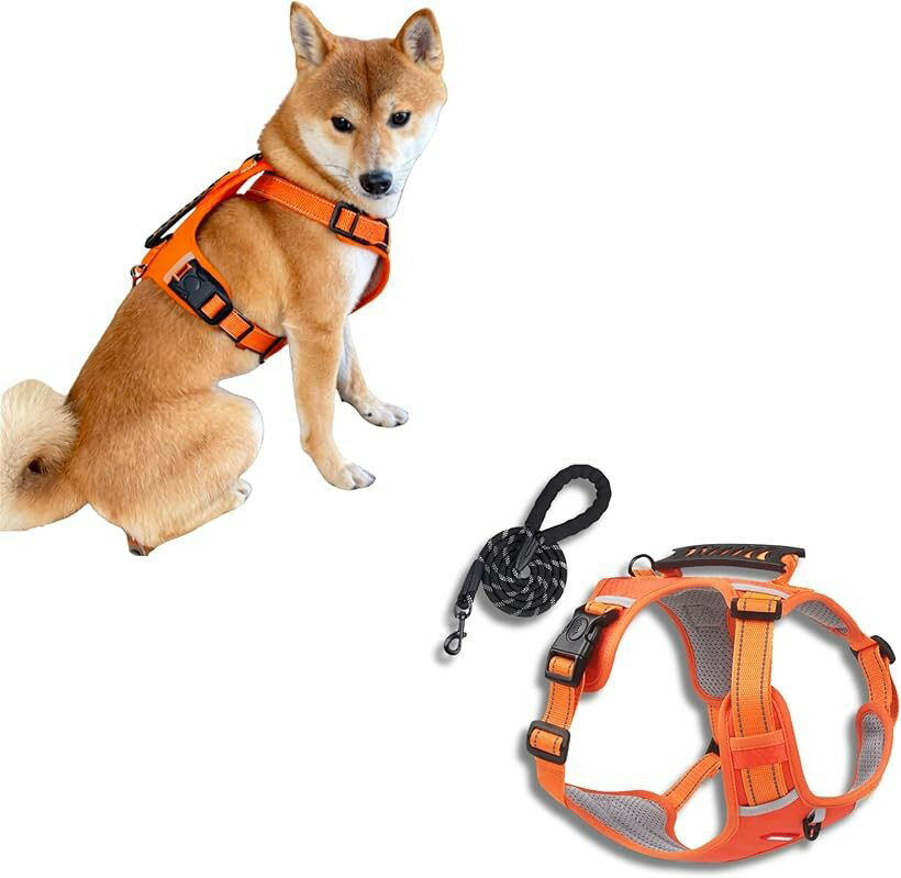 Harness Leash - 犬 ハーネス リード セット 小型犬 中型犬用 散歩 反射テープ付き 脱着簡単 軽量 通気性 (オレンジ, M)