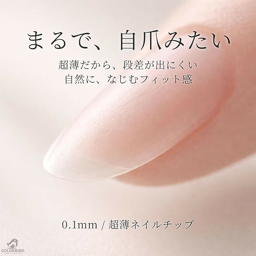 ネイルチップ Silvella ショート 0.1mm超薄 クリア サンディング加工済み 自然にフィット つけ爪 (バレリーナM, 300pcs) mlinestore-10126701 エムラインストア サンプル画像2