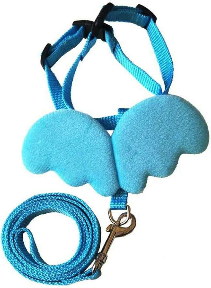 Harness Leash - 天使の羽 愛犬用 かわいい ハーネス リード セット 簡単脱着 小・中型犬対応 M ブルー (ブルー, M)
