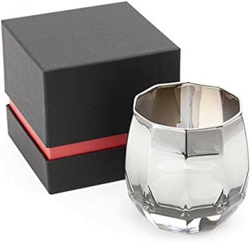 ロックグラス チタンミラー 日本製 ウィスキー ワイン お酒がまろやかに クロス付 Silver Vertex (Vertex)