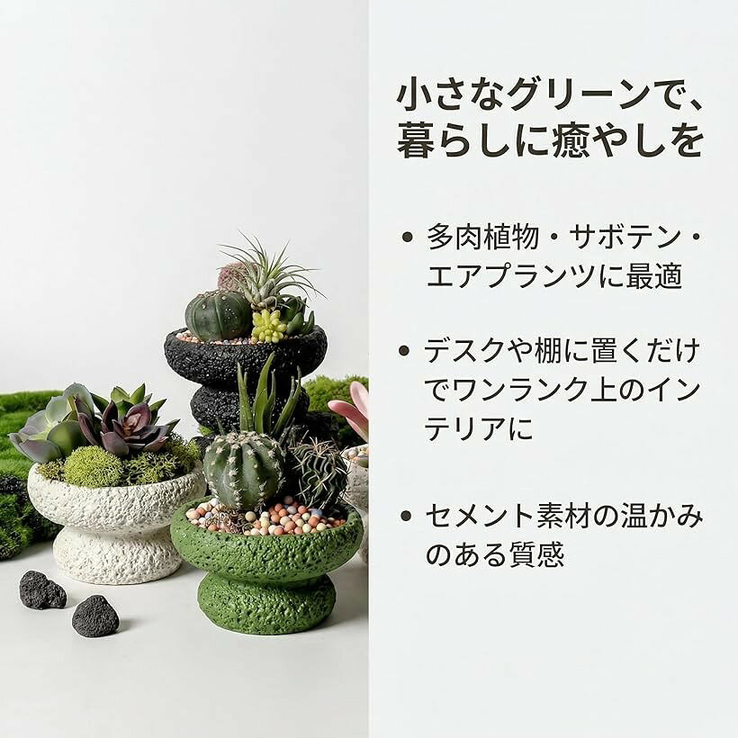 植木鉢 多肉植物 セメント 2個セット 排水穴なし おしゃれ 室内 プランター サボテ...
