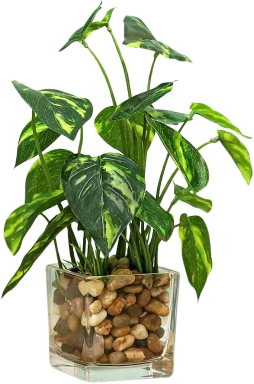 観葉植物 フェイク 造花 ミニ 卓上 インテリア おしゃれ 人工 フェイクグリーン ガラスポット (常緑樹, 25cmx6.5cm)