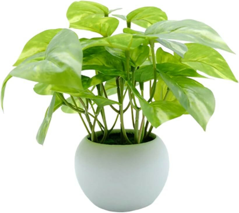 フェイクグリーン 人工観葉植物 ミニ 卓上 インテリア (ポトス, Small)