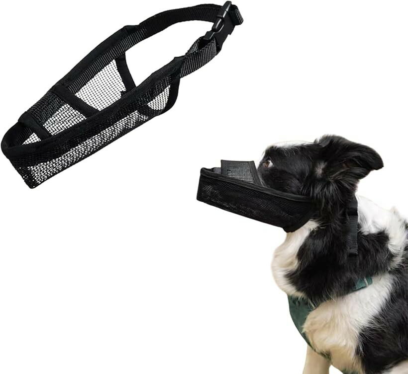 Training Goods - 犬 口輪 マズル 中型 大型 拾い食い 防止 噛み防止 拾い食い防止 (ブラック, Mサイズ)