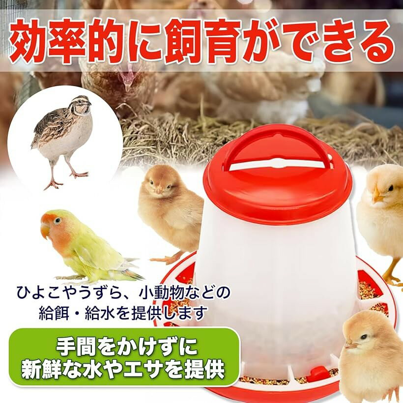 MONOSTORE 自動給餌器 鳥 鳥の餌 アヒル チキン 水やり うずら 給水器 水入れ 鶏 餌入れ にわとり ひよこフィーダー 餌やり (レッド, 給餌器2個＋給水器2個（合計4個セット）) 3
