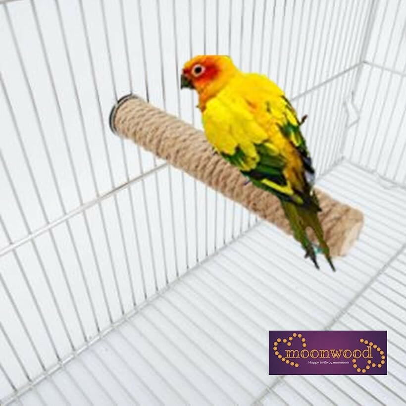 エムラインストアの鳥用止まり木 2個セット 18cm (18cm)｜アングル3