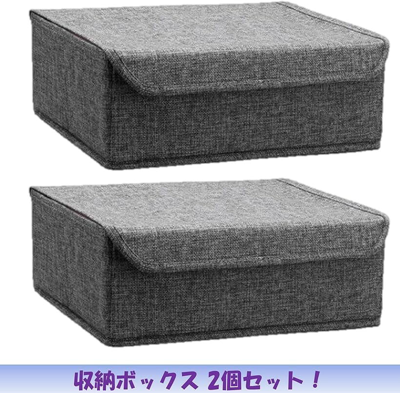 収納ケース 2個セット 衣装ケース 収納ボックス 仕切りボックス チェスト 引き出し 不織布 小物入れ ベージュ (ベージュ) [2]
