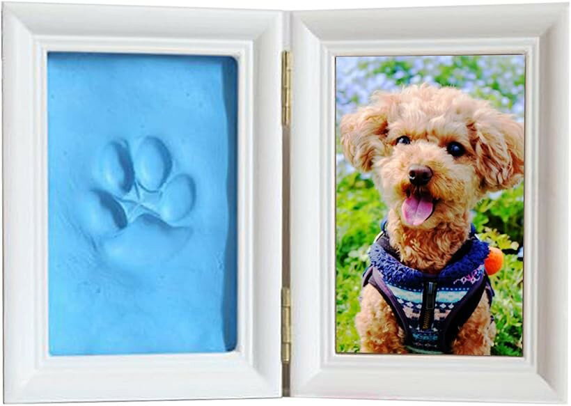 モデルノ ラ テール 足型キット フォトフレーム メモリアル 赤ちゃん 犬 肉球 型取...