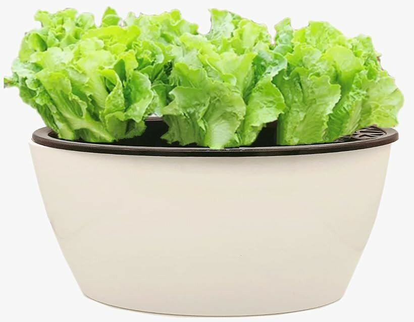バリエーションコード : 2b4495fhir商品コード2b4491vwxw商品名植木鉢 プラスチック おしゃれ 29x14cmブランド3worldカラー楕円型(29x14cm)・「セット内容」植木鉢+楕円型カバー+綿ロープ 「材質」鉢：PET 、ロープ：綿 ＊植える植物の種類によっては湿好性、乾好性がありますのでセットするロープの本数で調整して下さい（湿好性：多、乾好性：少）。・「用途」室内用 一般的な植物（観葉植物・多年草・一年草・多肉植物 等）の植木鉢 としてご使用ください。「サイズ」カバー：幅 約29cm 奥行 約14cm 高さ 約14cm、 鉢：内径 幅 約23.5cm 奥行 約12.5cm 高さ 約10cm・「特徴」下部分の受け鉢にお水を張り、内蔵されている綿ロープの毛管現象により水を吸い上げ内側の鉢内部の土に水分を与えてくれ水切れなどのトラブルをアシストしてくれます。カバーがついているので水がテーブルにこぼれてしまう心配もありません。・少し大きめが欲しかった。の声にお答えして屋内菜園にもお使いいただける楕円型。程よい大きさで深さもありハーブやちょっとした作物など色々な種類の植物栽培に最適です。定番のホワイトカラーにシンプルなデザインで軽く持ち運びや使い方も簡単なので植物栽培の初心者さんにもオススメです。・＊ 鉢に浸からない程度のお水をカバーに入れてご使用ください。植物の種類・特性や使用する培養土により与えるお水の適量は異なります。お水の減り具合や植物の状態をよく観察してお水の量を調節してあげてください。※ 他ネットショップでも併売しているため、ご注文後に在庫切れとなる場合があります。予めご了承ください。※ 品薄または希少等の理由により、参考価格よりも高い価格で販売されている場合があります。ご注文の際には必ず販売価格をご確認ください。※ 沖縄県、離島または一部地域の場合、別途送料の負担をお願いする場合があります。予めご了承ください。※ お使いのモニタにより写真の色が実際の商品の色と異なる場合や、イメージに差異が生じることがあります。予めご了承ください。※ 商品の詳細（カラー・数量・サイズ 等）については、ページ内の商品説明をご確認のうえ、ご注文ください。※ モバイル版・スマホ版ページでは、お使いの端末によっては一部の情報が表示されないことがあります。すべての記載情報をご確認するには、PC版ページをご覧ください。屋内菜園にもお使いいただける楕円型。程よい大きさで深さもありハーブやちょっとした作物など色々な種類の植物栽培に最適です。定番のホワイトカラーにシンプルなデザインで軽く持ち運びや使い方も簡単なので植物栽培の初心者さんにもオススメです。ストレスを軽減してくれる自動給水機能。「特徴」下部分の受け鉢にお水を張り、内蔵されている綿ロープの毛管現象により水を吸い上げ内側の鉢内部の土に水分を与えてくれ水切れなどのトラブルをアシストしてくれます。カバーがついているので水がテーブルにこぼれてしまう心配もありません。程よい大きさと深さでハーブやちょっとした作物など色々な種類の植物栽培に。多肉植物や観葉植物はもちろん、パクチーやバジル、ディルカモミール、ミントなどなどハーブの寄せ植えもおしゃれです。屋内菜園や家庭菜園に挑戦してみたかった。という方にもおすすめです。使いやすサイズ感です。「サイズ」カバー：幅約29cm奥行約14cm高さ約14cm、鉢：内径幅約23.5cm奥行約12.5cm高さ約10cm
