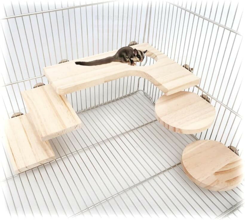 楽天市場】zuta（小動物用品｜ペット・ペットグッズ）の通販