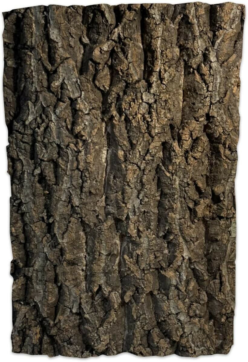 コルク樹皮 着生 エアプランツ チランジア バークチップ 爬虫類 観葉植物 本物 ヘゴ板 (ブラウン, 大サイズ 200x300　1枚)
