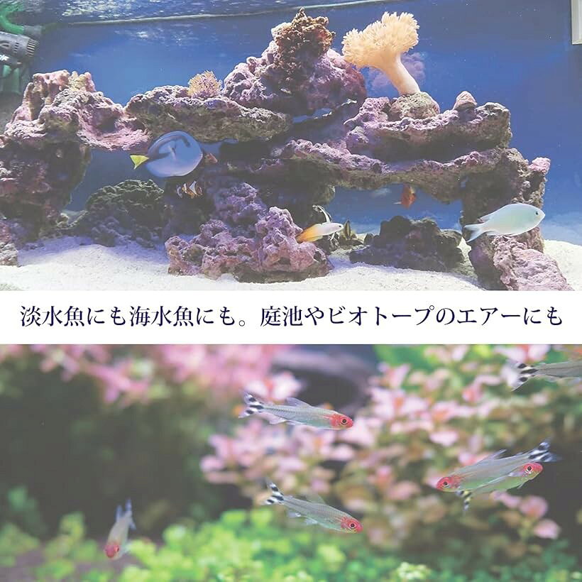 エムラインストアの【楽天ランキング1位入賞】エアストーン エアポンプ 用 アクアリウム 淡水 海水 エアレーション 熱帯魚 水槽 直径10.7cm (直径10.7cm)｜アングル3