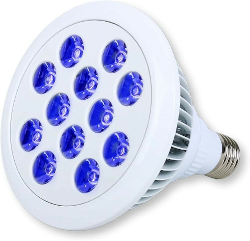 バリエーションコード : 2b2wl266ft商品コード2b2wlig94c商品名LED 電球 スポットライト 24W 2Wx12灯 水槽 照明 E26 電気 サンゴ 熱帯魚 観賞魚 植物育成ブランドLezalicカラー電球_ブルー「商品仕様」サイズ：直径120mmx長さ138mm 口金サイズ：E26 照射角：90度 適応電圧：85V-265V 50/60Hz 消費電力：24W 本体素材：アルミ「水槽用LEDライト」青く美しい光が水槽内の魚やサンゴを幻想的に照らします。サンゴ育成を助ける効果もあるので鑑賞性も向上します。「高輝度LED」従来の蛍光管と比較して、長くお使いいただけて、消費電力も低いです。「優れた放熱効果」熱放射量が低く、照射による水温上昇が軽減できます。大切な魚やサンゴを熱から守ります。「ご注意」本製品は防水仕様ではありませんので、水面から一定距離を取って設置してください。また水中での使用は出来ません。一定温度に達すると、LED素子の焼き付き防止のため、点滅し放熱を行う仕様です。※ 他ネットショップでも併売しているため、ご注文後に在庫切れとなる場合があります。予めご了承ください。※ 品薄または希少等の理由により、参考価格よりも高い価格で販売されている場合があります。ご注文の際には必ず販売価格をご確認ください。※ 沖縄県、離島または一部地域の場合、別途送料の負担をお願いする場合があります。予めご了承ください。※ お使いのモニタにより写真の色が実際の商品の色と異なる場合や、イメージに差異が生じることがあります。予めご了承ください。※ 商品の詳細（カラー・数量・サイズ 等）については、ページ内の商品説明をご確認のうえ、ご注文ください。※ モバイル版・スマホ版ページでは、お使いの端末によっては一部の情報が表示されないことがあります。すべての記載情報をご確認するには、PC版ページをご覧ください。