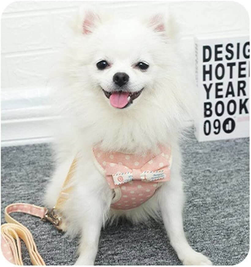 犬用 散歩 ハーネス 首輪 胴輪 小型犬 中型犬 訓練用 L ピンク (ピンク, L)