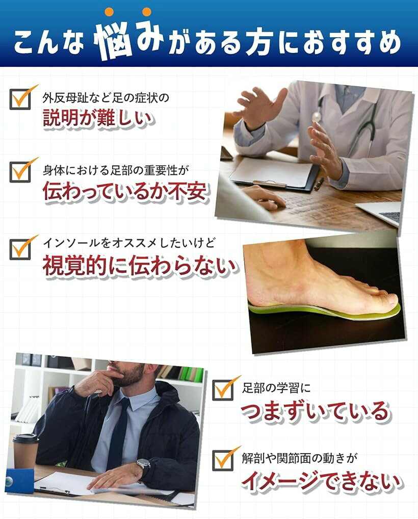 エムラインストアの足関節と距骨下関節を伸縮コードで自由に動かせる足骨模型 人体模型 PT監修 骨格標本 右足 足台付き 可動｜アングル3