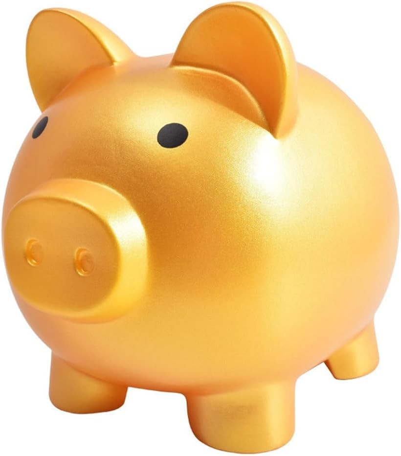 bright warm 貯金箱 ぶた 子供 かわいい 割れない 豚 500円 金運 heo đất piggy (...