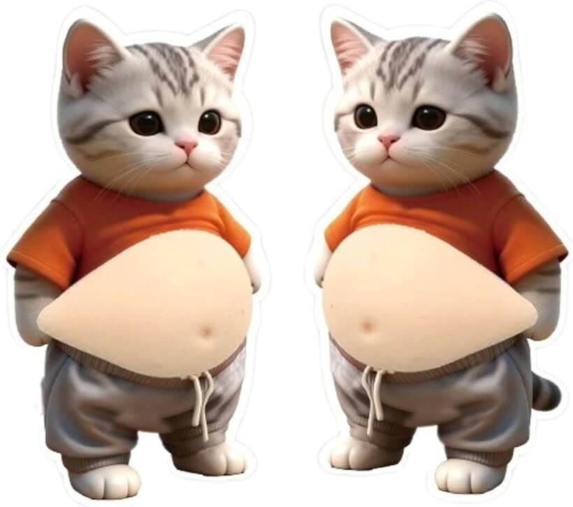 お腹 シール 猫 2026年最新柔らかいお腹 ぷにぷに ぷくぷく 3D もっちり デブ猫 愛くるしい かわいい シール帳 ステッカー ねこ (ブラウン, 灰色 ねこちゃん) mlinestore-10191692 エムラインストア パッケージ画像