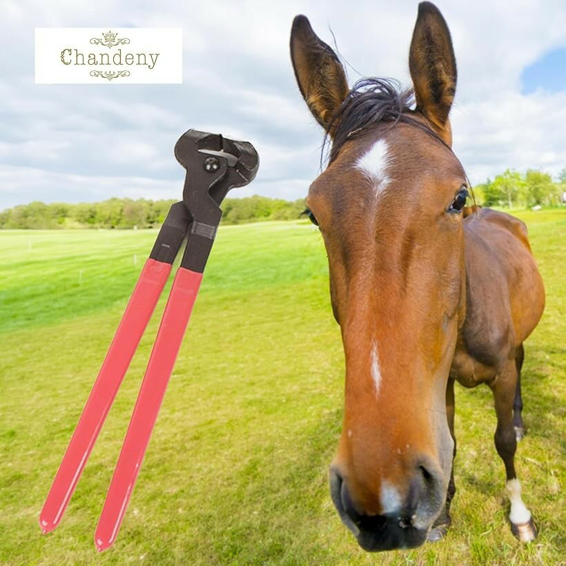 馬 蹄 修理用 ニッパー プロ 職人 厩舎 牧場 カット 工具 ケア 競走馬 乗馬 (赤x黒...