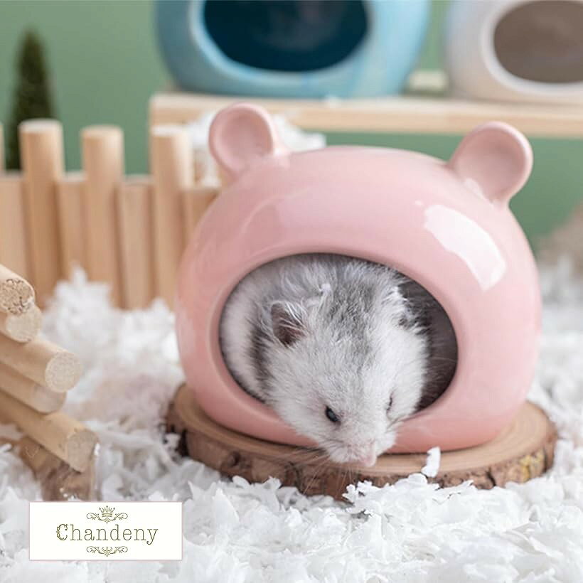 エムラインストアの小動物用 陶器製 シェルター ハムスター 隠れ家 ひんやり ハウス 寝床 夏用 小サイズ (ホワイト, 小サイズ)｜アングル3