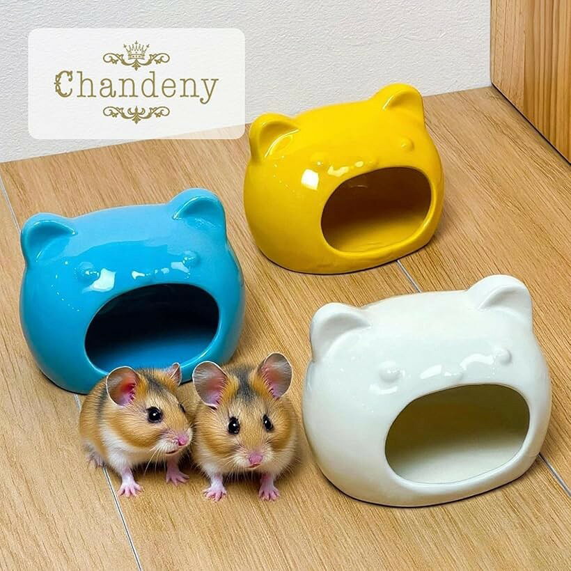 エムラインストアの小動物用 陶器製 シェルター クマ型 ハムスター 隠れ家 ハウス ひんやり 寝床 大サイズ (ブルー, 大サイズ)｜アングル3