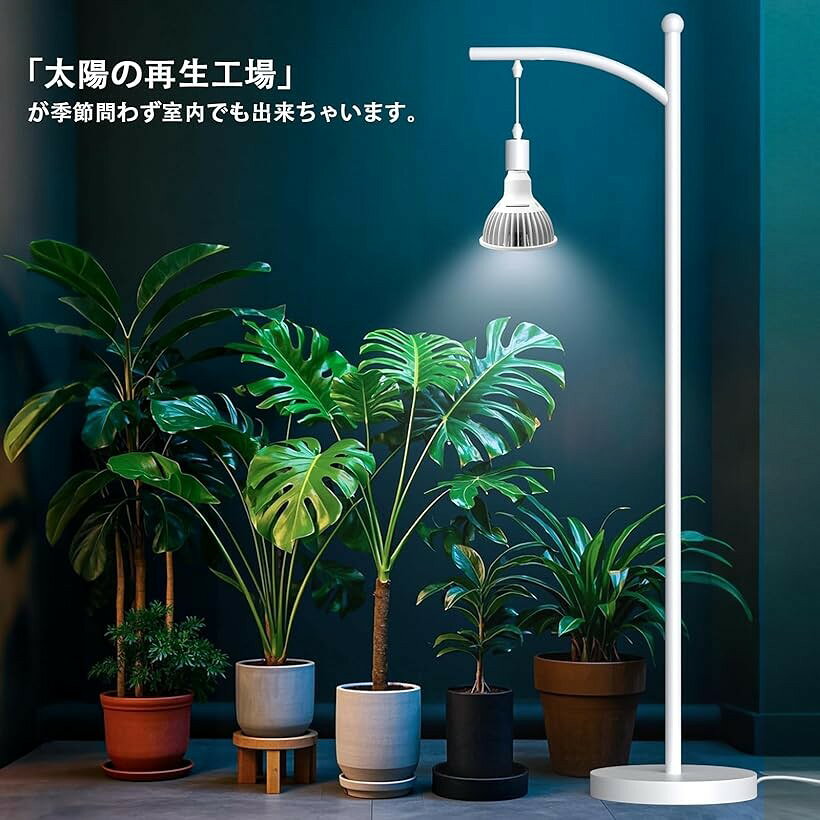 エムラインストアの植物育成ライト E26 ランプ口 24Wスポットライト フルスペクトル 高演色性 LED育成電球 ビーム角38度 昼光色4000K (White, 昼光色4000K)｜アングル2