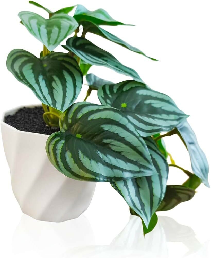 観葉植物 フェイク 造花 インテリア フェイクグリーン 卓上 多肉植物 3点セット (スイカペペロニア, 中)