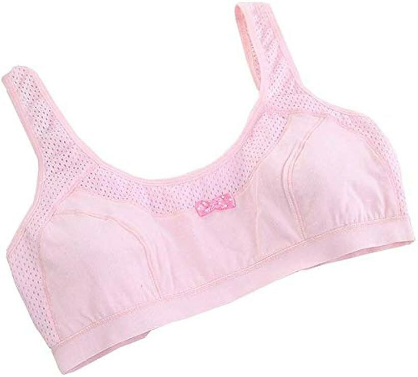 大きいサイズ XXL A95 メッシュ仕様 ノンワイヤー ブラジャー スポブラ ピンク (ピンク, A95)