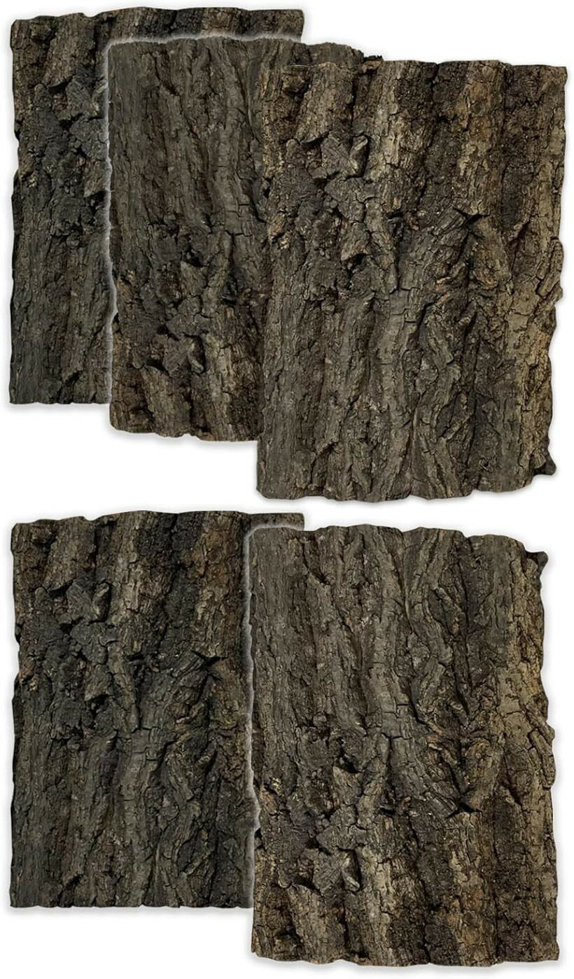 コルク樹皮 着生 エアプランツ チランジア バークチップ 爬虫類 観葉植物 本物 ヘゴ板 (中サイズ 150x200　5枚)