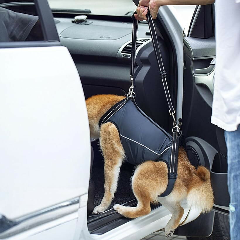 犬 ハーネス 歩行補助 ペット用 老犬 前足 後足 けが 介護 リハビリ 柔らかい 通気...