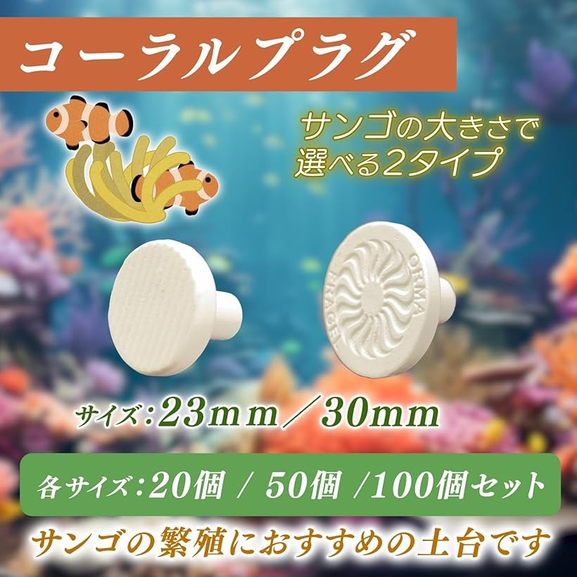 コーラルプラグ 珊瑚 サンゴ ベース セラミック 50個セット 30mm (30mm)