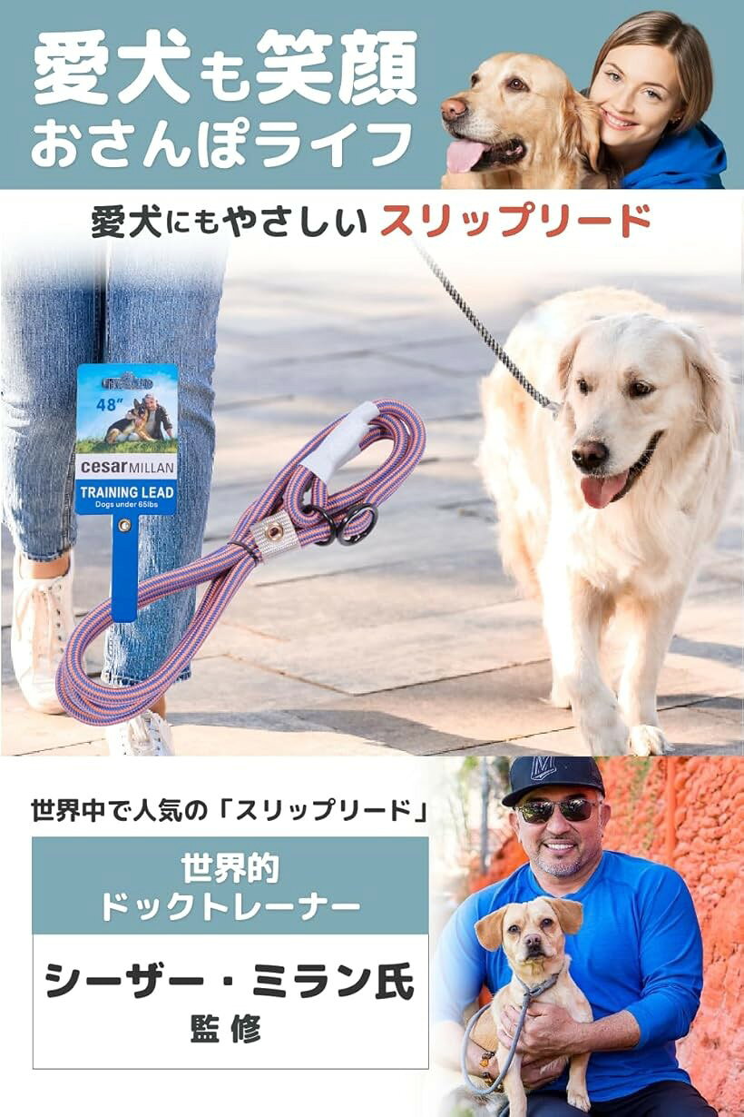 スリップリード シーザーミラン Cesar Millan正規品世界的ドッグトレーナー シーザ...