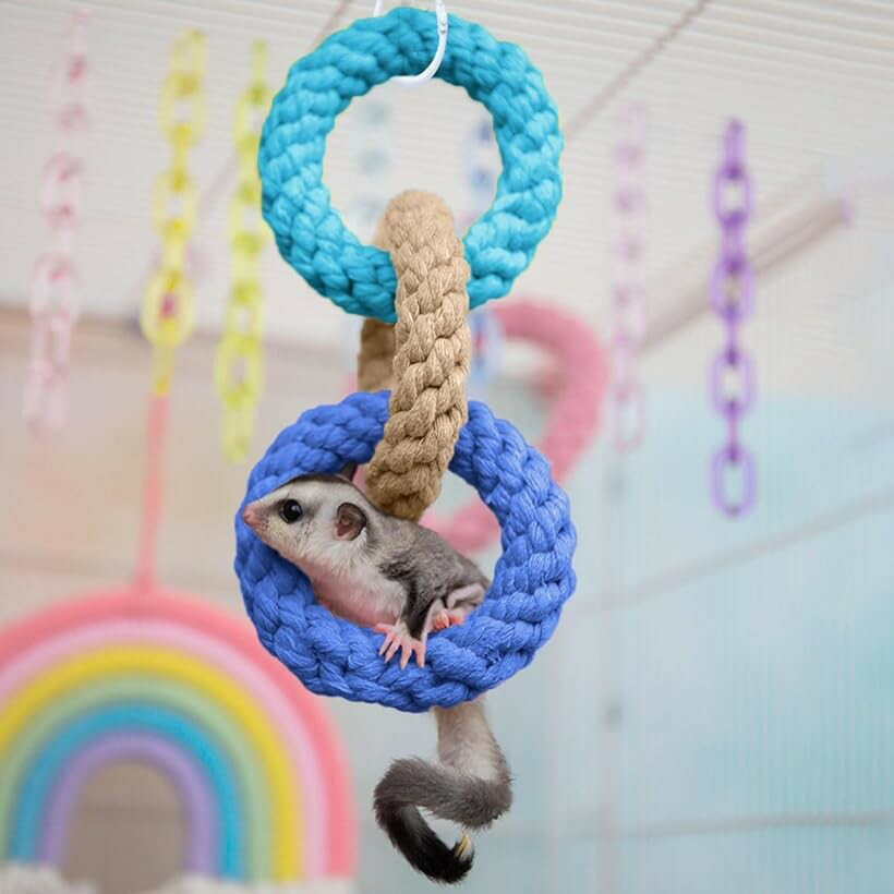 モモンガ 小動物 おもちゃ フェレット フクロモモンガ ループ ペット用品 ブルー (ブルー)