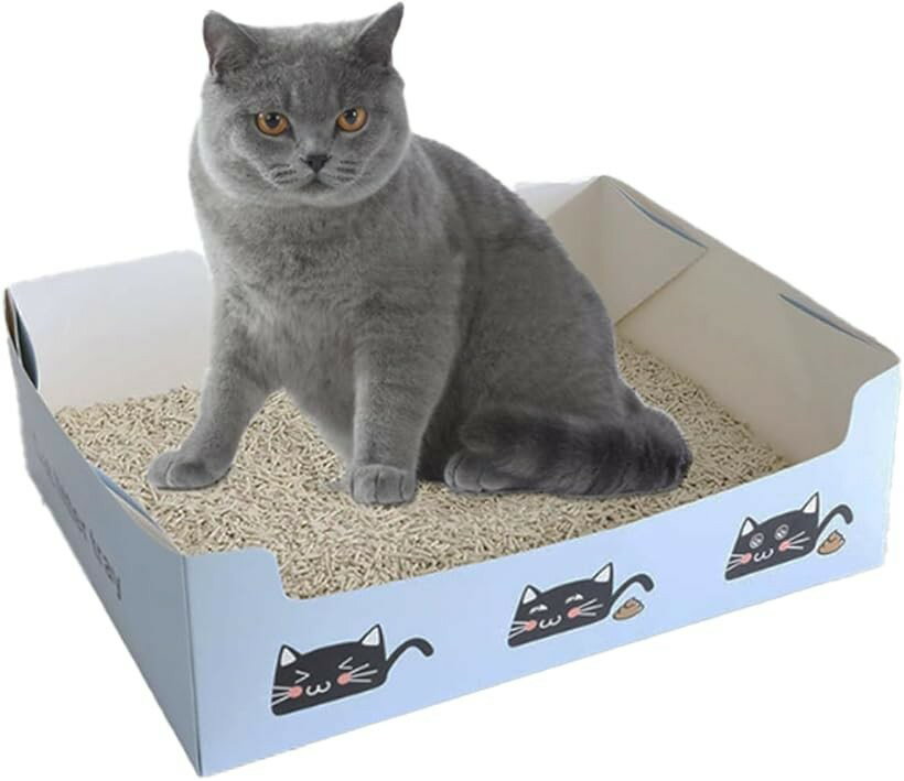 猫トイレ 使い捨て 5枚セット 紙ダンボール 防水 防災 避難 旅行 ねこ 携帯 折りた...